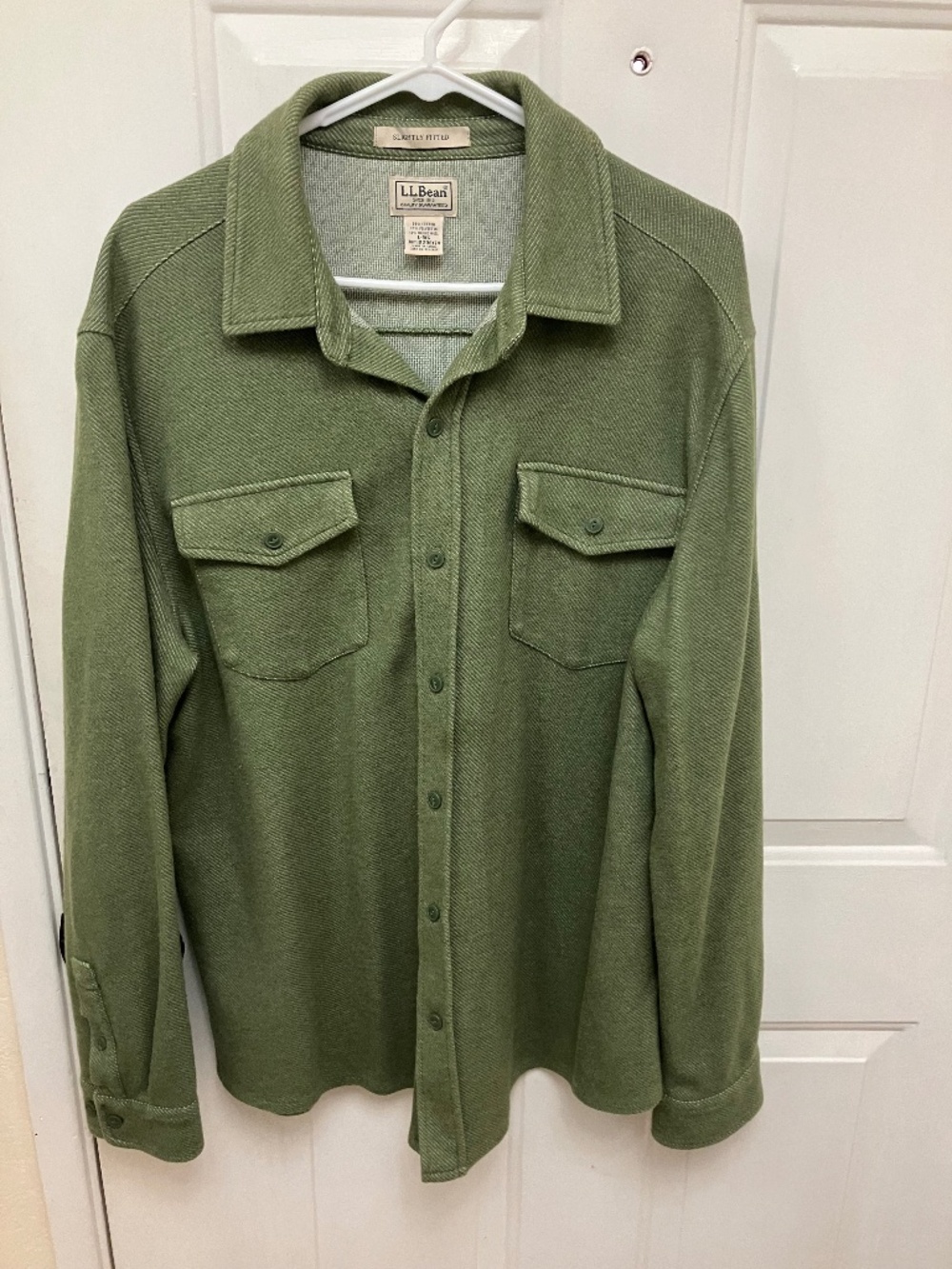 LL Bean Mens long sleeve button up shirt - Large